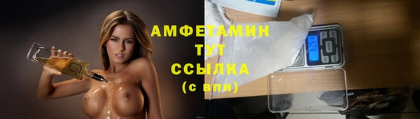 гашик Инсар