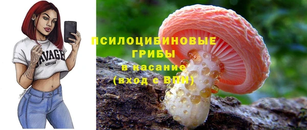 гашик Инсар
